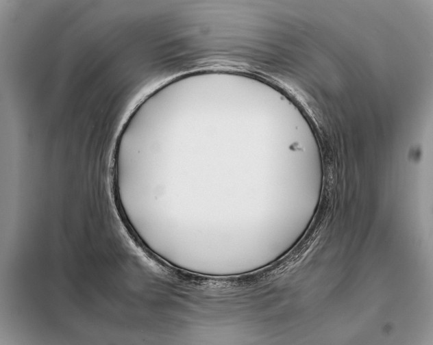 X0000098081379200805021011