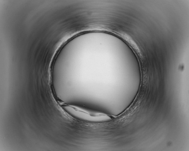 X0000098081380200805021011