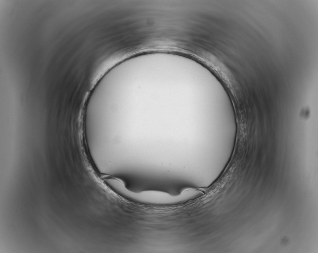 X0000098081382200805021011