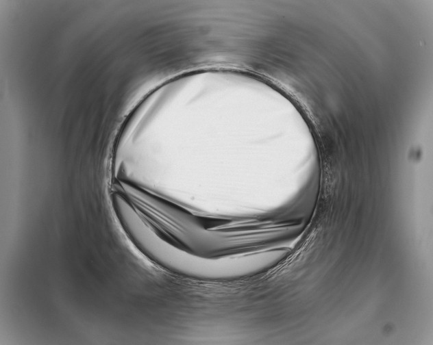 X0000098081383200805021011