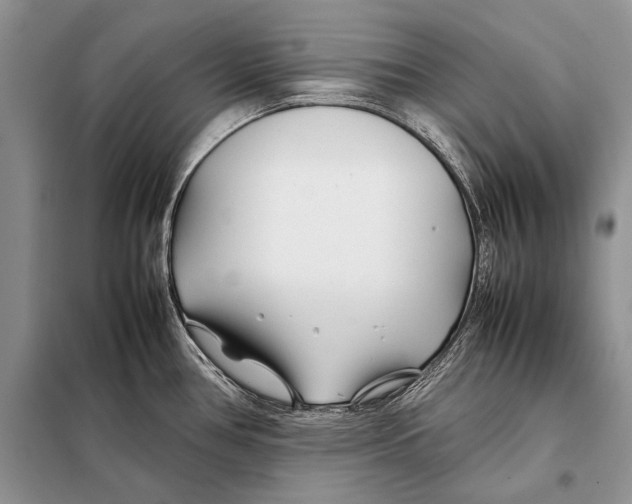 X0000098081386200805021011