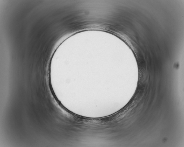 X0000098081387200805021011