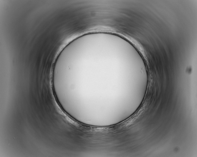 X0000098081390200805021011