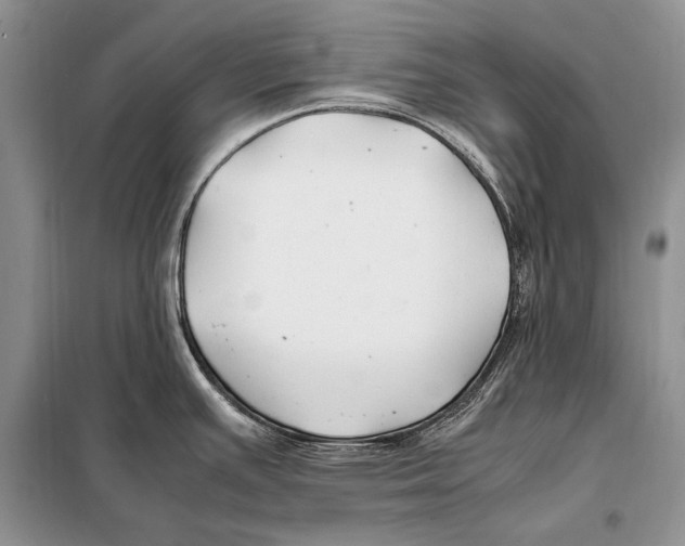 X0000098081391200805021011