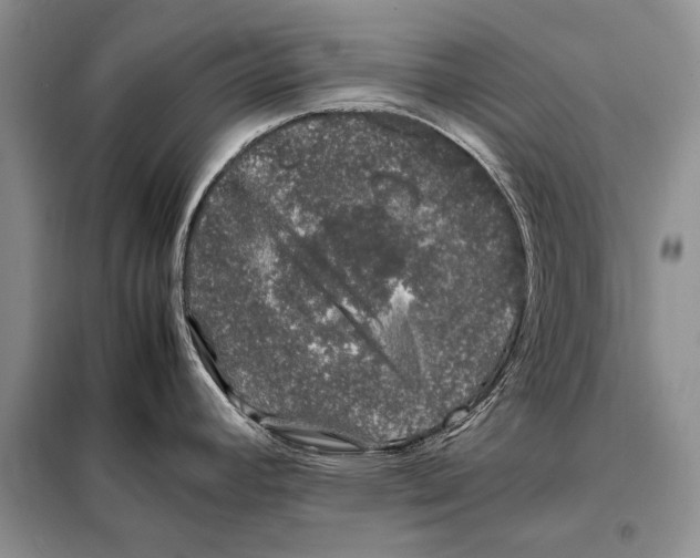 X0000098081392200805021011