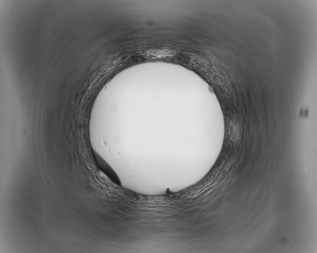 X0000098081393200805021011