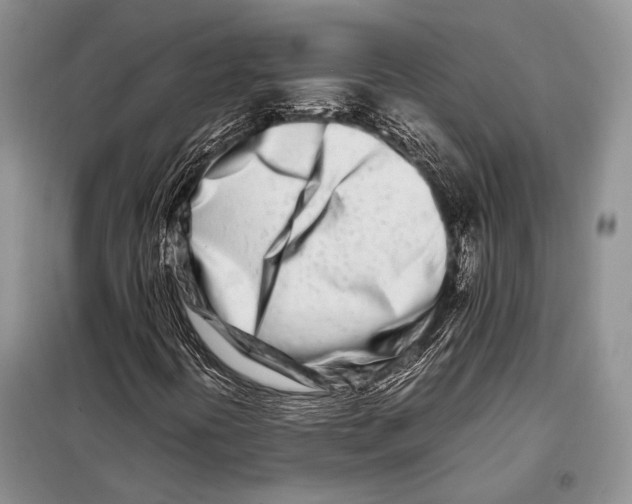 X0000098081394200805021011