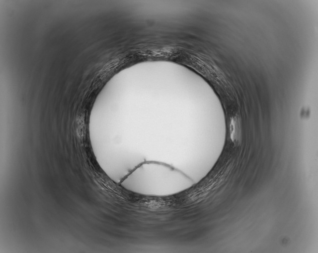 X0000098081395200805021011