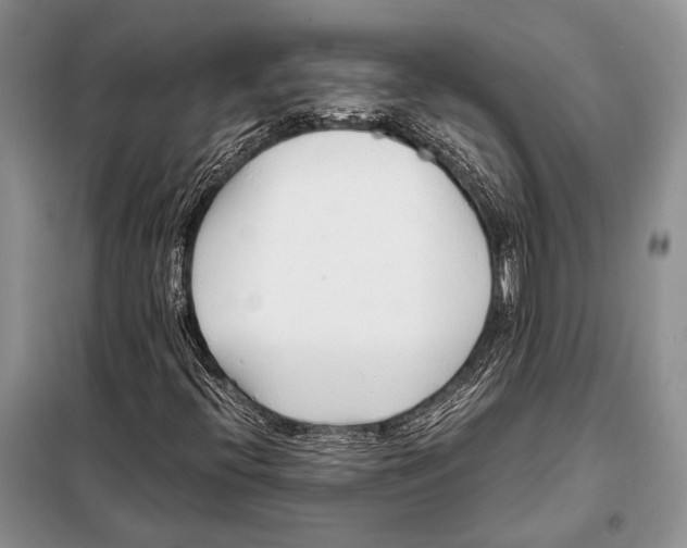 X0000098081396200805021011