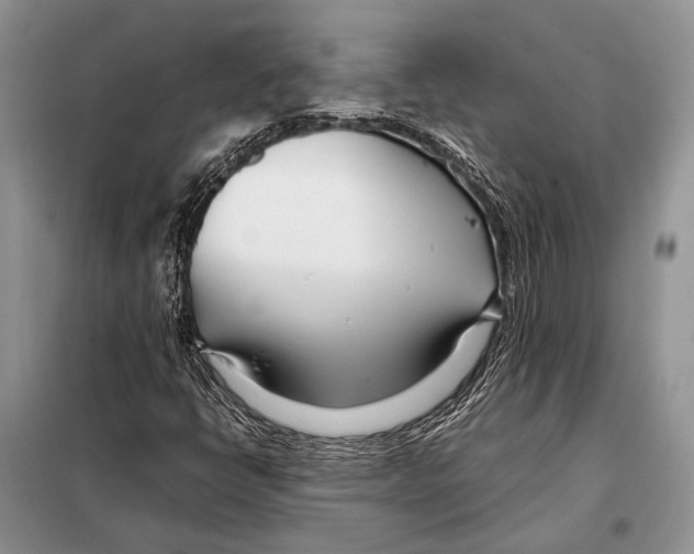 X0000098081398200805021011