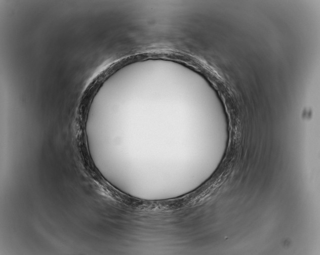 X0000098081400200805021011