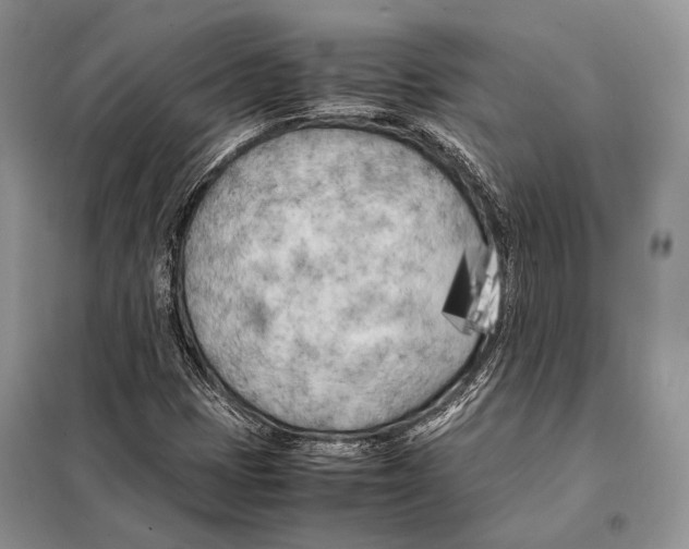 X0000098081401200805021011