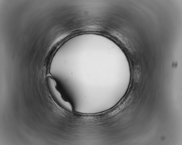 X0000098081402200805021011