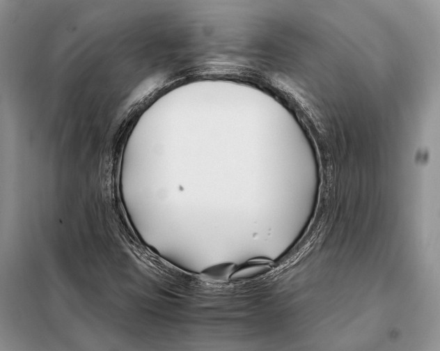 X0000098081403200805021011