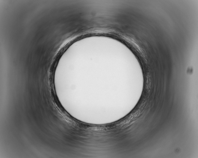 X0000098081404200805021011