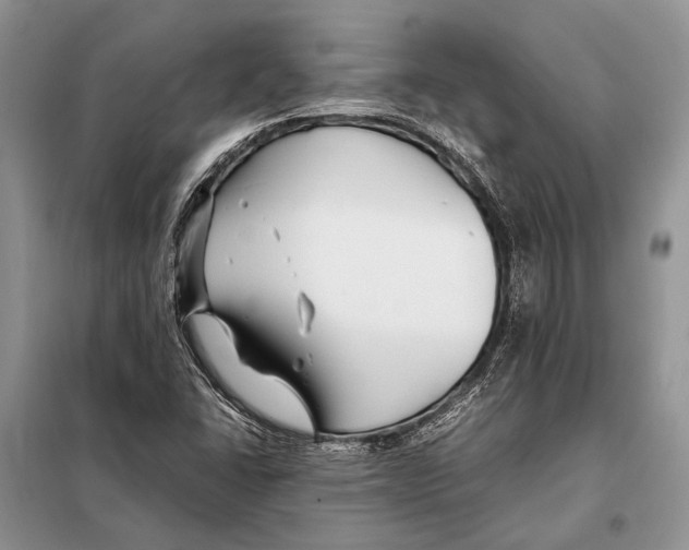 X0000098081406200805021011