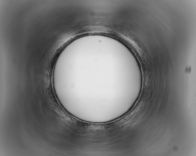 X0000098081407200805021011