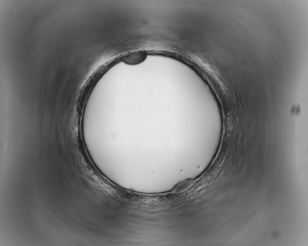 X0000098081408200805021011