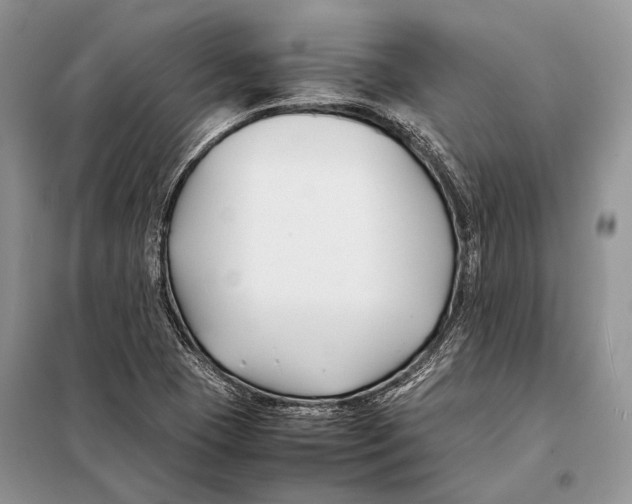 X0000098081409200805021011