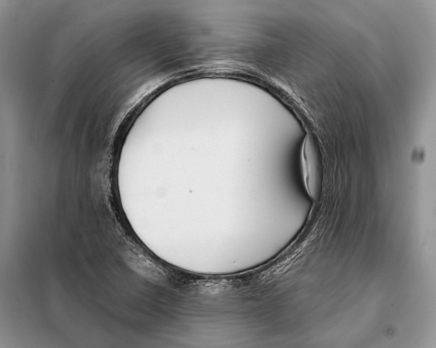 X0000098081410200805021011