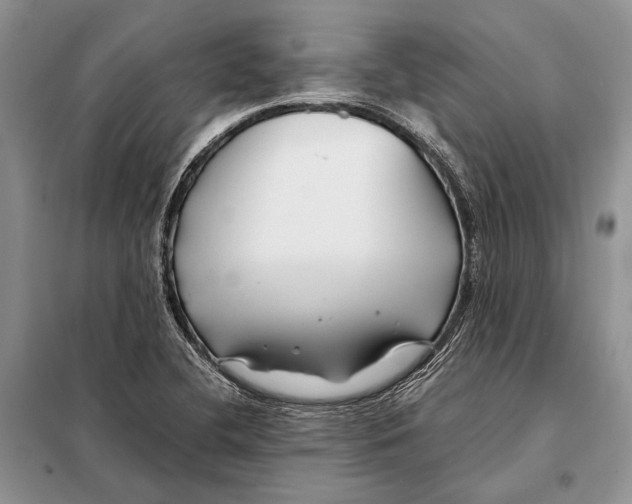 X0000098081412200805021011