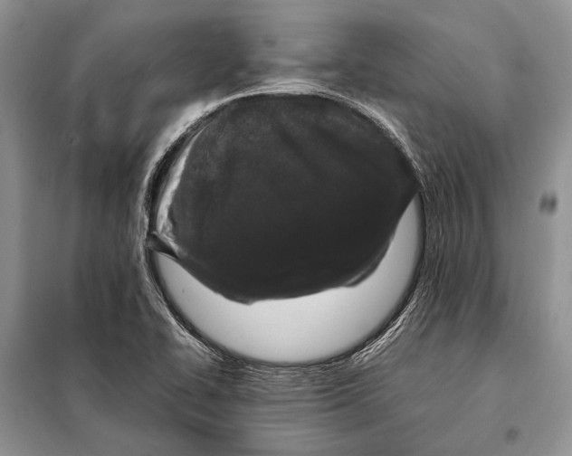 X0000098081414200805021011