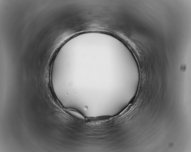 X0000098081415200805021011