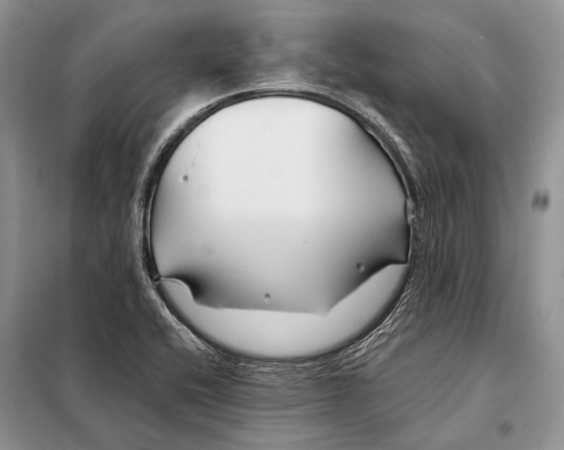 X0000098081416200805021011