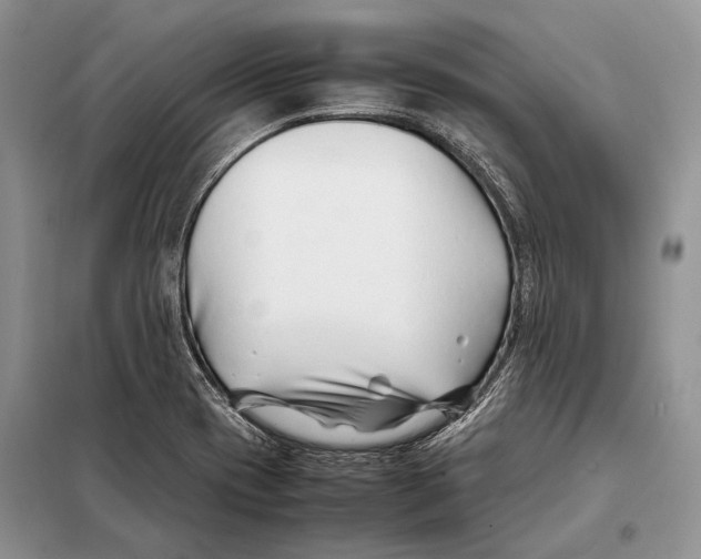 X0000098081417200805021011