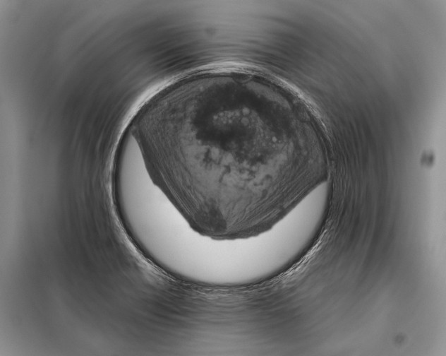 X0000098081418200805021011