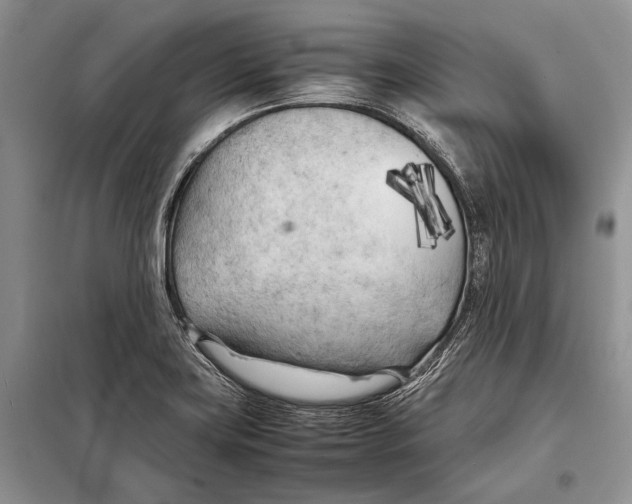 X0000098081419200805021011