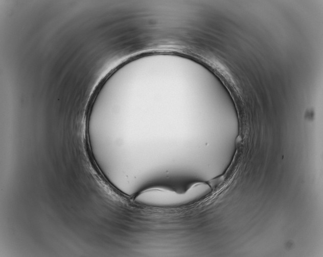 X0000098081420200805021011
