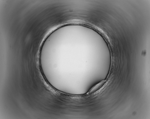 X0000098081421200805021011