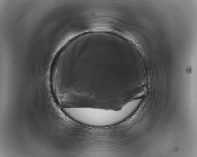 X0000098081422200805021011