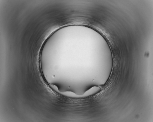 X0000098081423200805021011