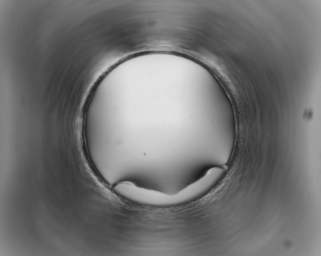 X0000098081424200805021011
