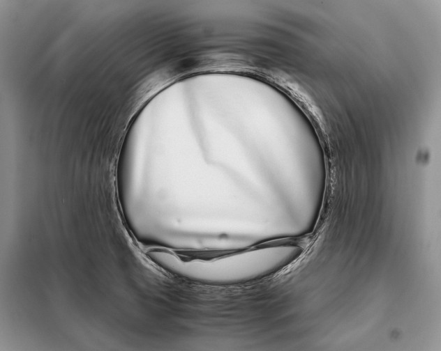 X0000098081425200805021011