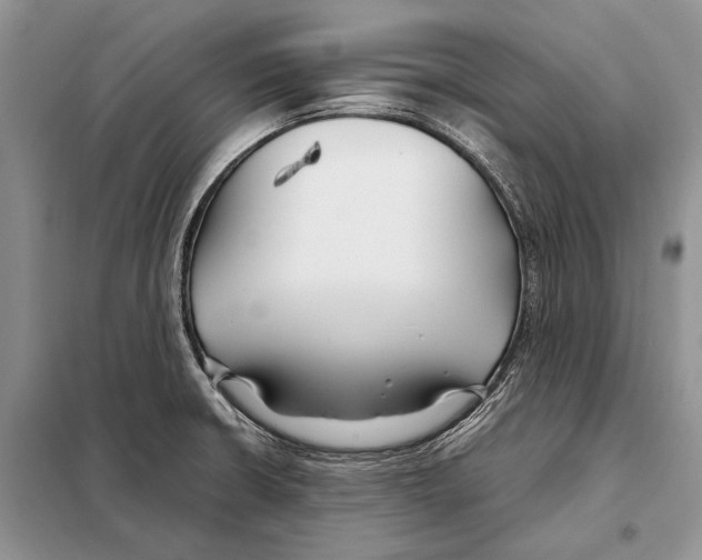 X0000098081426200805021011