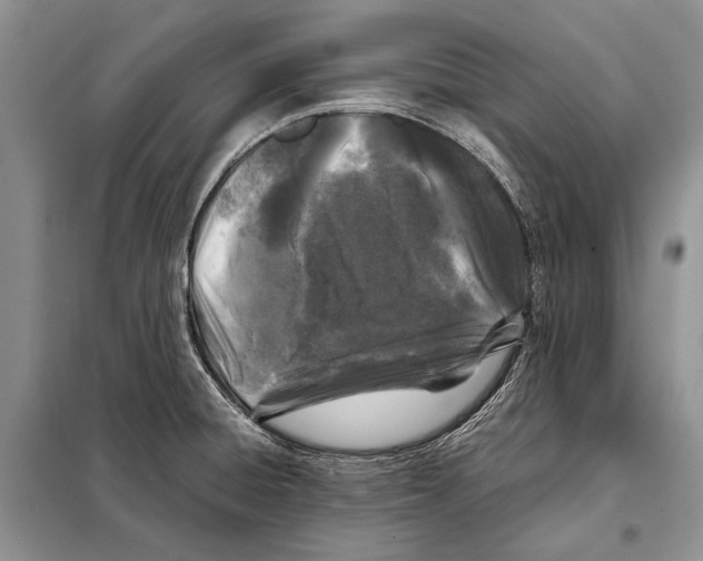 X0000098081428200805021011