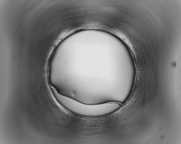 X0000098081429200805021011