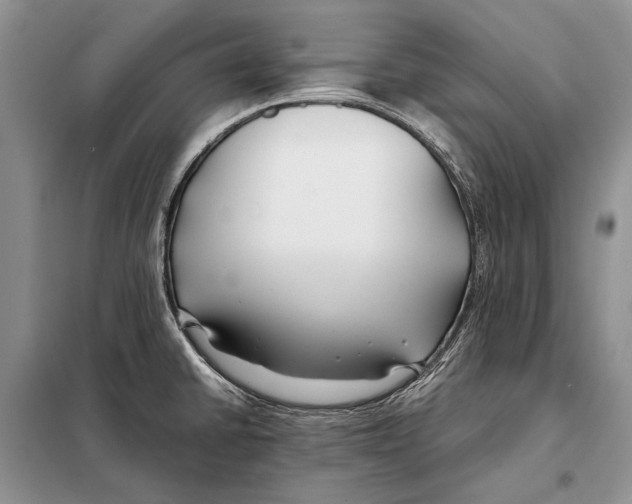 X0000098081430200805021011