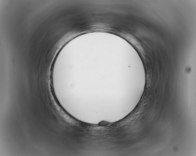 X0000098081431200805021011