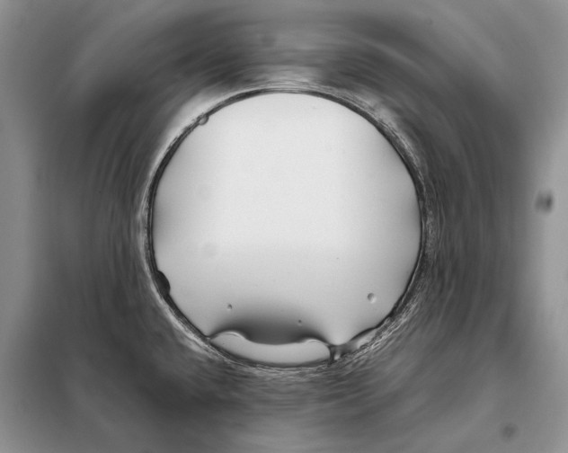 X0000098081432200805021011