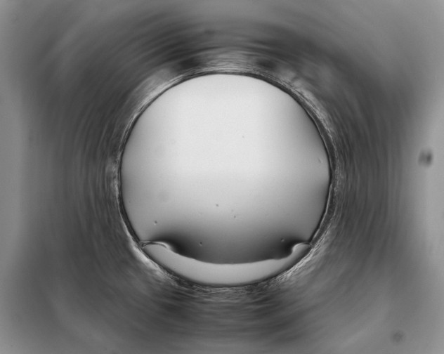 X0000098081433200805021011