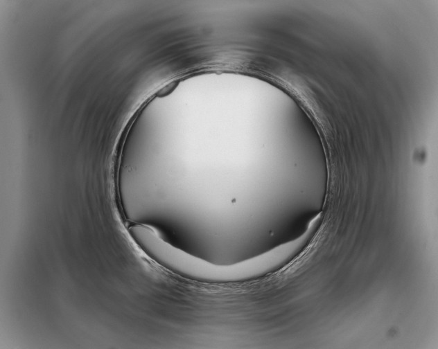 X0000098081434200805021011