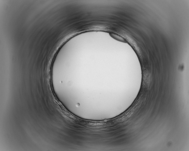 X0000098081435200805021011