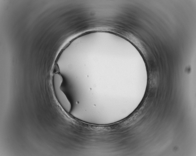 X0000098081436200805021011
