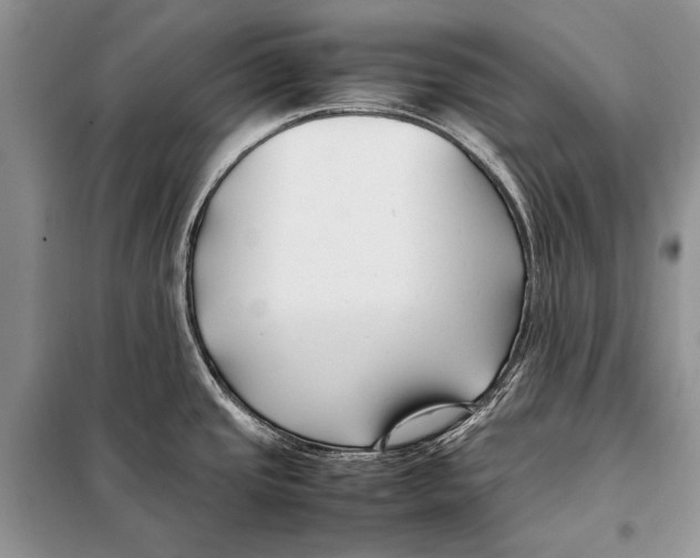 X0000098081437200805021011