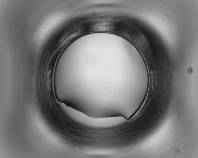 X0000098081438200805021011
