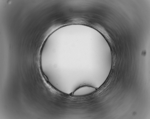 X0000098081439200805021011